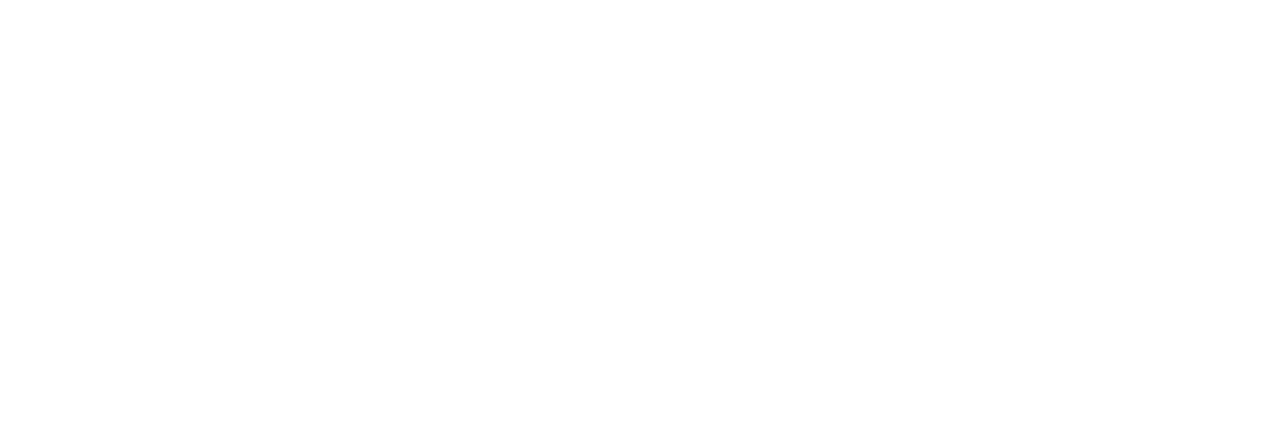 logo WALTHAM